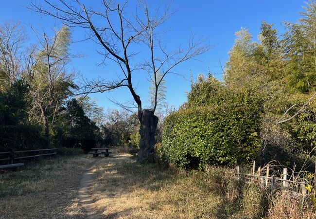 富塚八幡緑地まで徒歩約19分