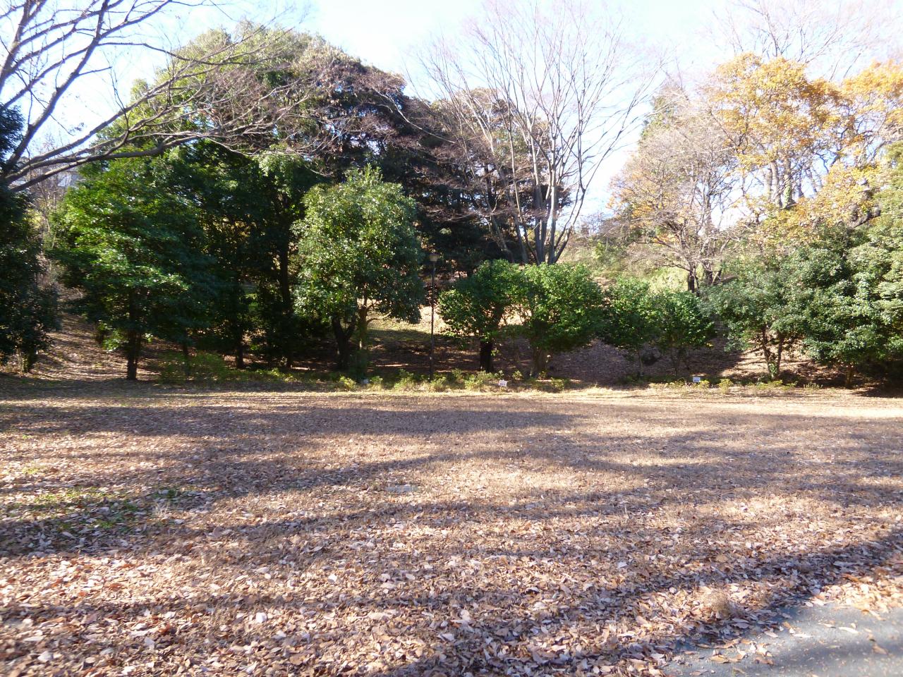 竹山南公園まで徒歩約13分